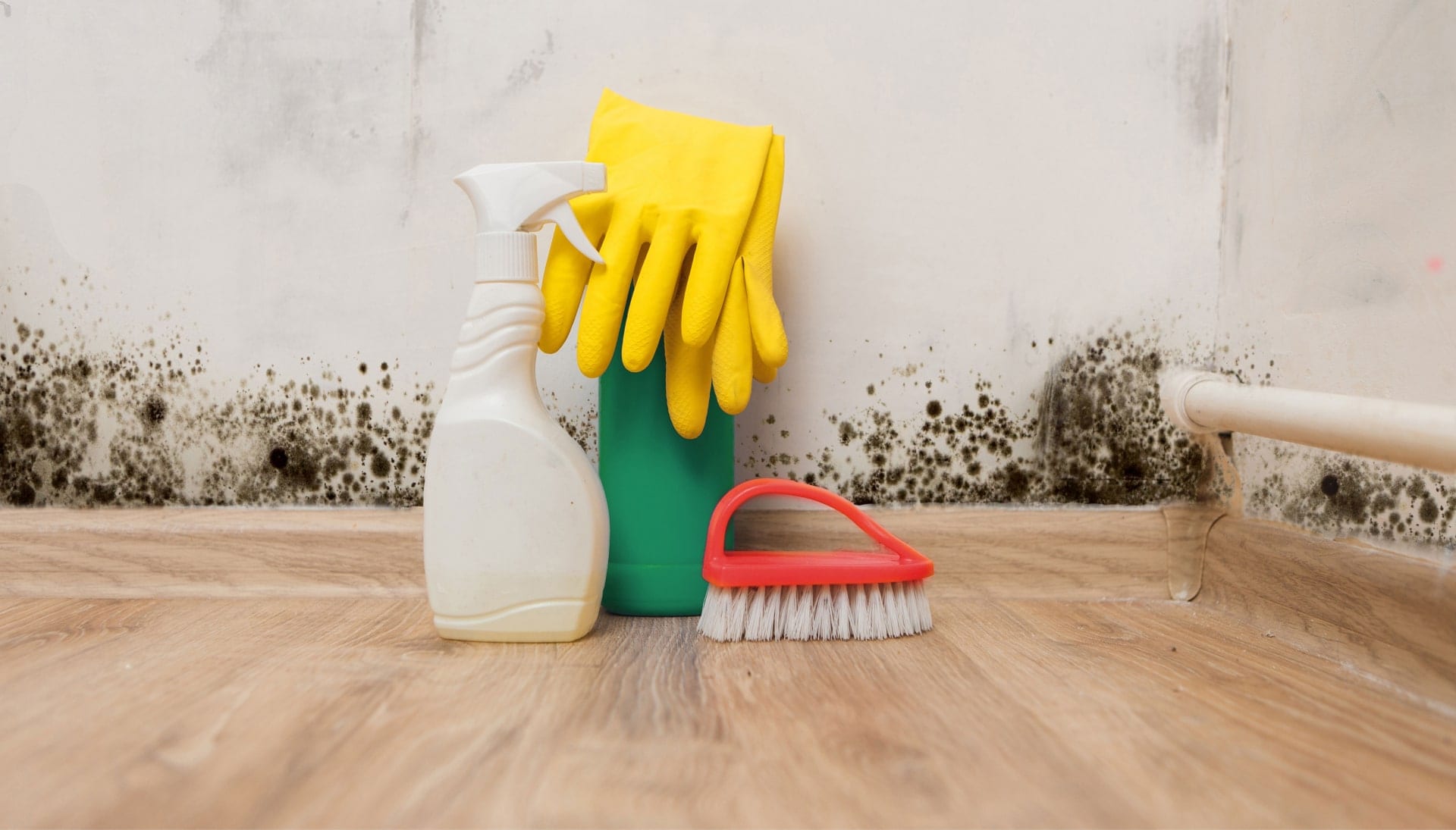 Know About Mold Removal In York