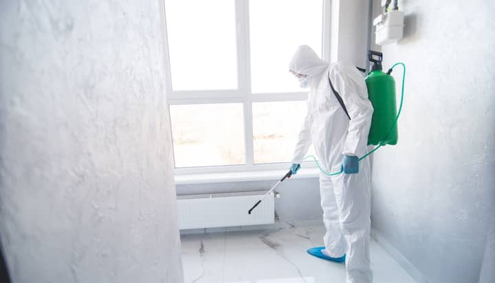 Mold Damage Odor Control Services in York